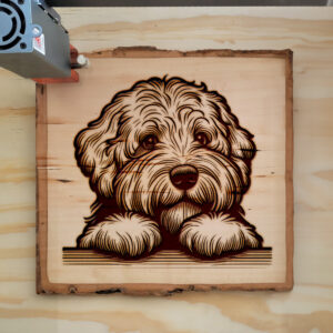 586885_wood-laser-1.jpg