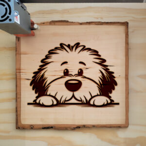 586889_wood-laser-1.jpg