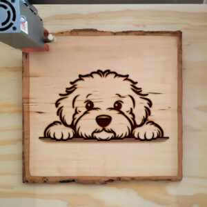 586907_wood-laser-1.jpg