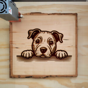 586940_wood-laser-1.jpg
