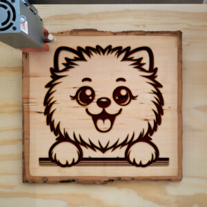 587034_wood-laser-1.jpg