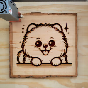 587046_wood-laser-1.jpg
