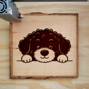 587093_wood-laser-1.jpg