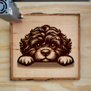 587097_wood-laser-1.jpg