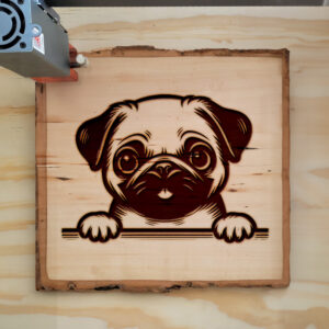 587100_wood-laser-1.jpg