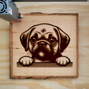 587112_wood-laser-1.jpg