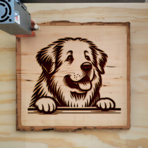 587117_wood-laser-1.jpg