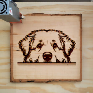 587119_wood-laser-1.jpg