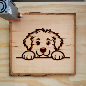 587123_wood-laser-1.jpg
