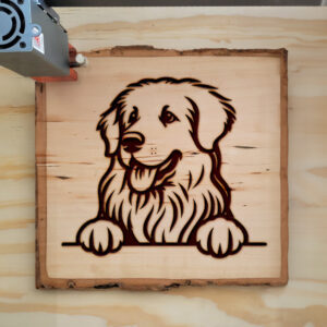 587137_wood-laser-1.jpg