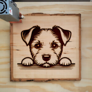 587206_wood-laser-1.jpg