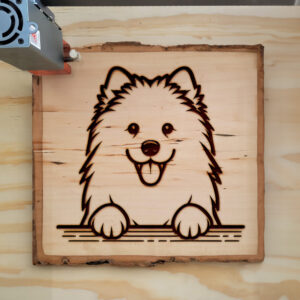 587283_wood-laser-1.jpg