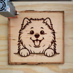 587291_wood-laser-1.jpg