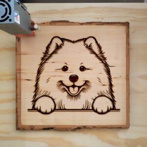 587302_wood-laser-1.jpg