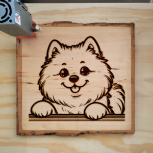 587308_wood-laser-1.jpg