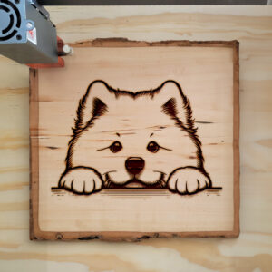 587313_wood-laser-1.jpg
