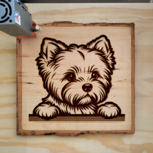 587336_wood-laser-1.jpg