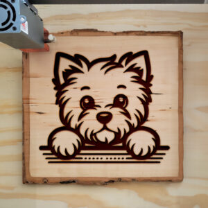 587342_wood-laser-1.jpg