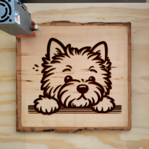 587344_wood-laser-1.jpg