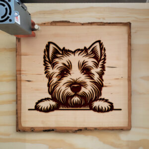 587349_wood-laser-1.jpg