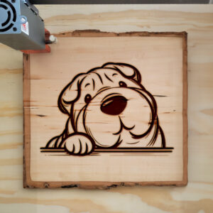 587366_wood-laser-1.jpg