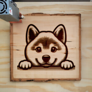 587401_wood-laser-1.jpg