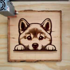 587403_wood-laser-1.jpg