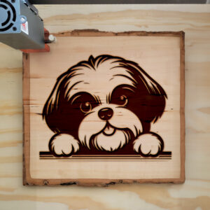 587411_wood-laser-1.jpg