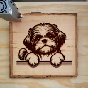 587418_wood-laser-1.jpg