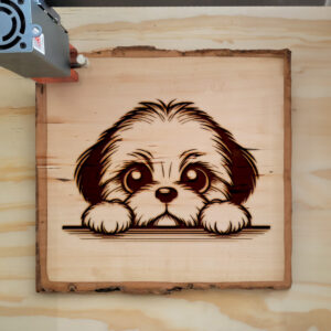 587420_wood-laser-1.jpg