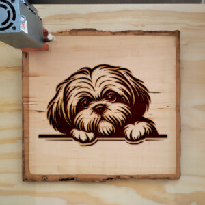 587424_wood-laser-1.jpg