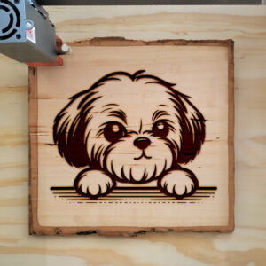 587426_wood-laser-1.jpg