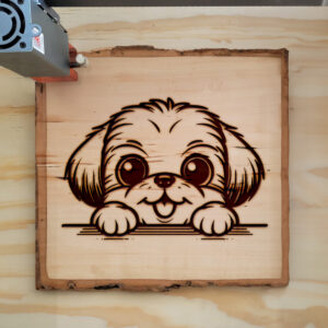 587432_wood-laser-1.jpg