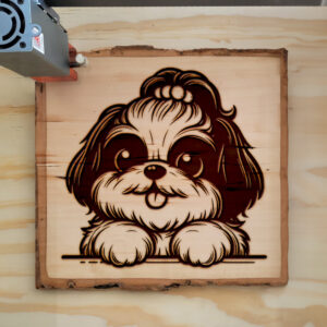 587433_wood-laser-1.jpg