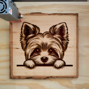 587443_wood-laser-1.jpg