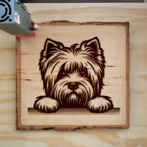 587463_wood-laser-1.jpg