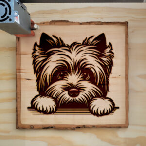 587474_wood-laser-1.jpg