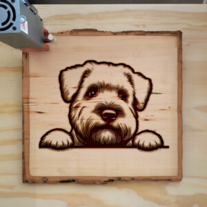 587483_wood-laser-1.jpg