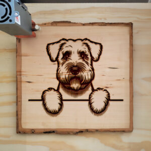 587486_wood-laser-1.jpg