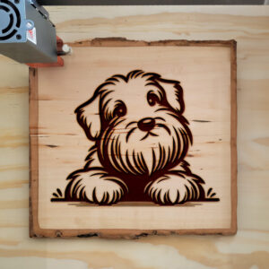 587494_wood-laser-1.jpg