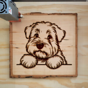 587496_wood-laser-1.jpg
