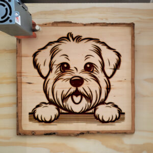 587511_wood-laser-1.jpg
