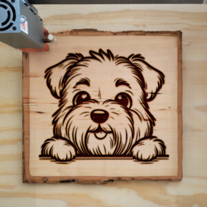 587518_wood-laser-1.jpg