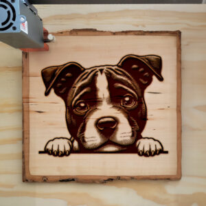 587520_wood-laser-1.jpg
