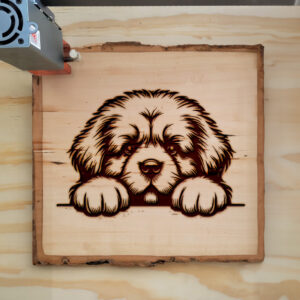 587539_wood-laser-1.jpg