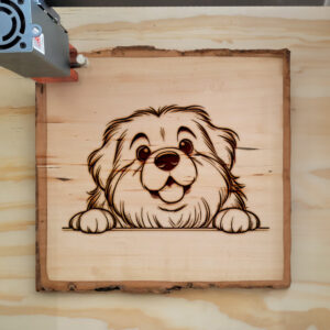 587541_wood-laser-1.jpg