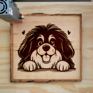 587565_wood-laser-1.jpg