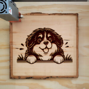 587582_wood-laser-1.jpg