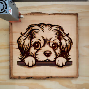 587595_wood-laser-1.jpg
