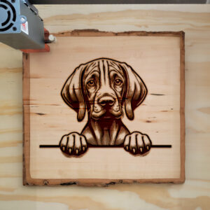 587601_wood-laser-1.jpg